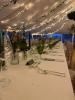 Bembridge Flower Shop | Isle of Wight | Weddings