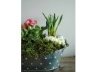 Flower Arrangements | Mothering Sunday | Seasonal Planter