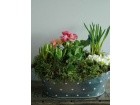 Flower Arrangements | Mothering Sunday | Seasonal Planter