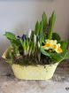 Arrangements | Mothering Sunday | Seasonal Planter