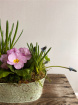 Flower Arrangements | Mothering Sunday | Petite Zinc Planter