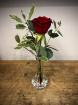 Valentine's Day | Single Rose Bud Vase