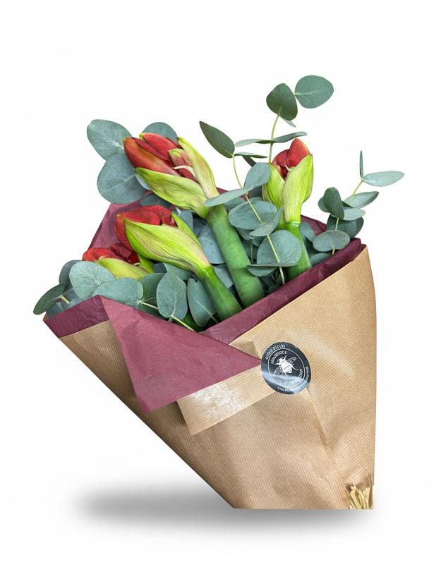 Christmas 2025 | Amaryllis Bouquet