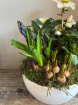 Arrangements | Seasonal Planter in Ceramic Bowl