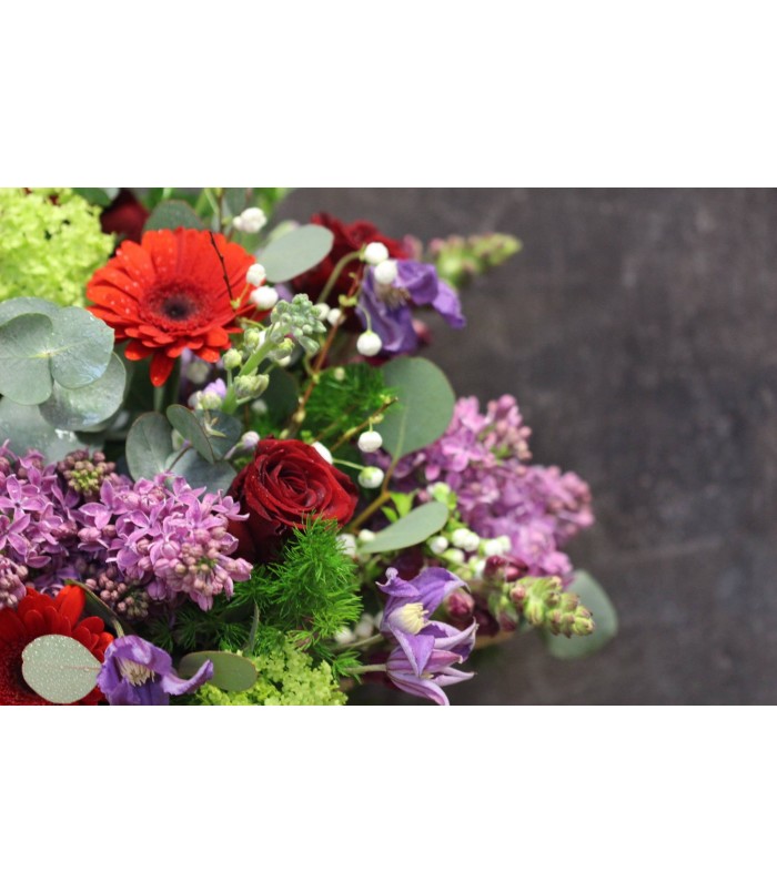 Valentines 2026 | I Love You