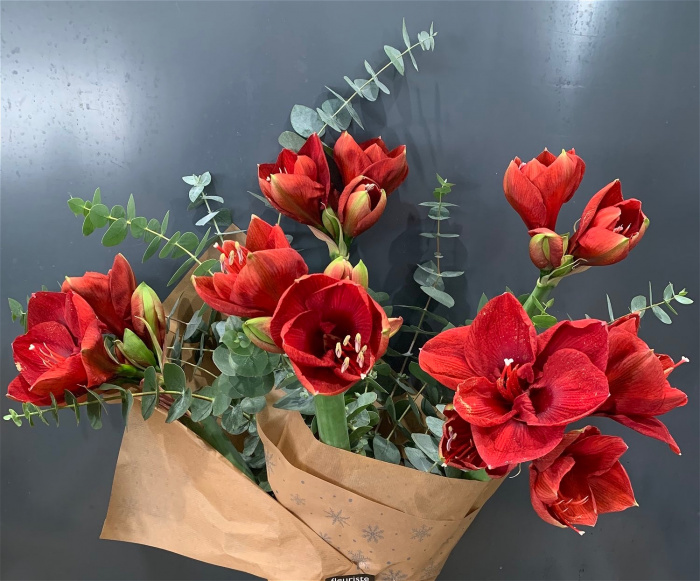 Christmas 2025 | Amaryliss bouquet