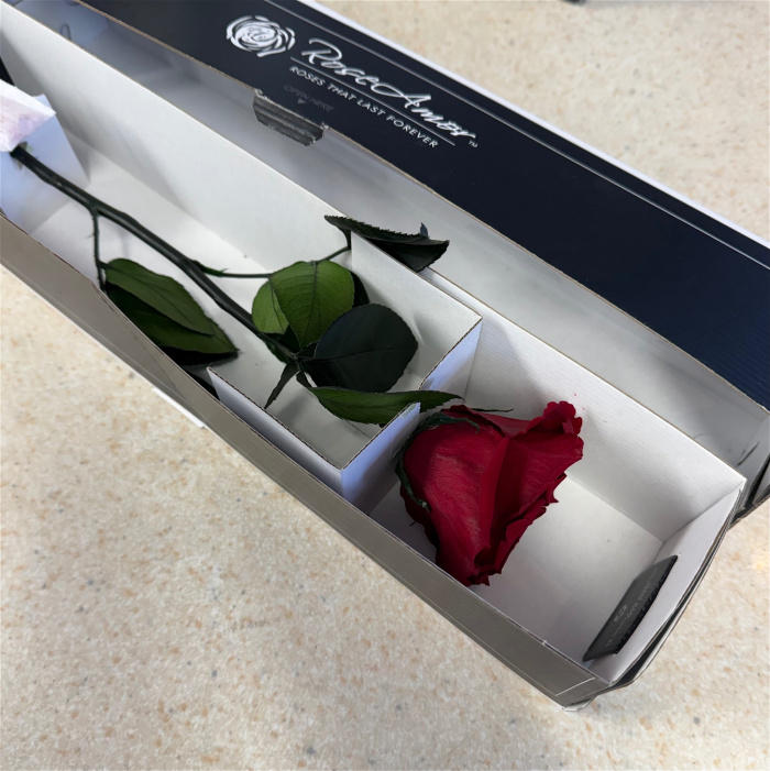 Valentines 2026 | Preserved red rose in a box