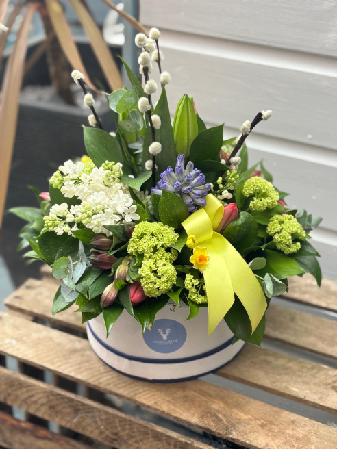 Vanilla Blue Flowers | Colchester | Home