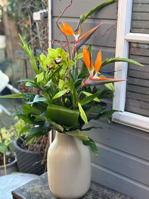 Vanilla Blue Flowers | Colchester | Home