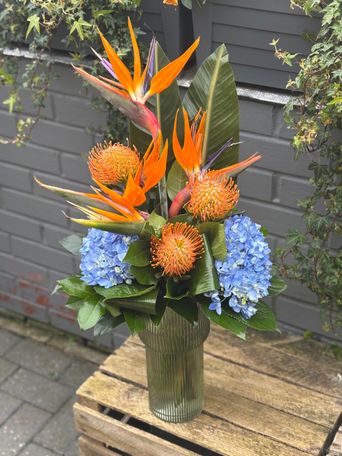 Vanilla Blue Flowers | Colchester | Corporate