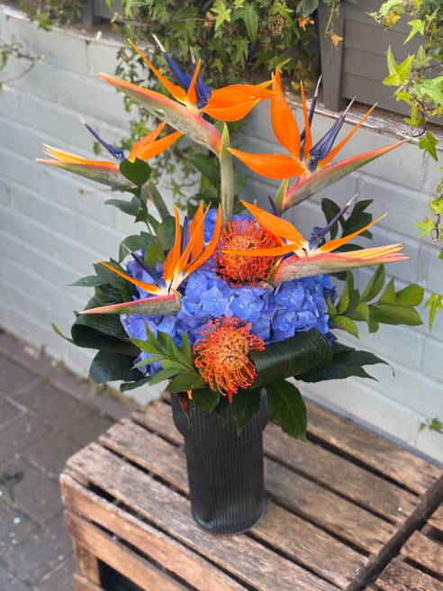 Vanilla Blue Flowers | Colchester | Corporate