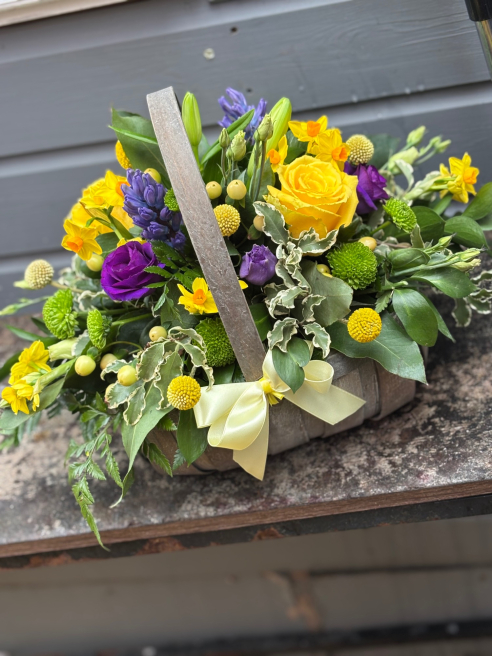 Vanilla Blue Flowers | Colchester | Flower Collection