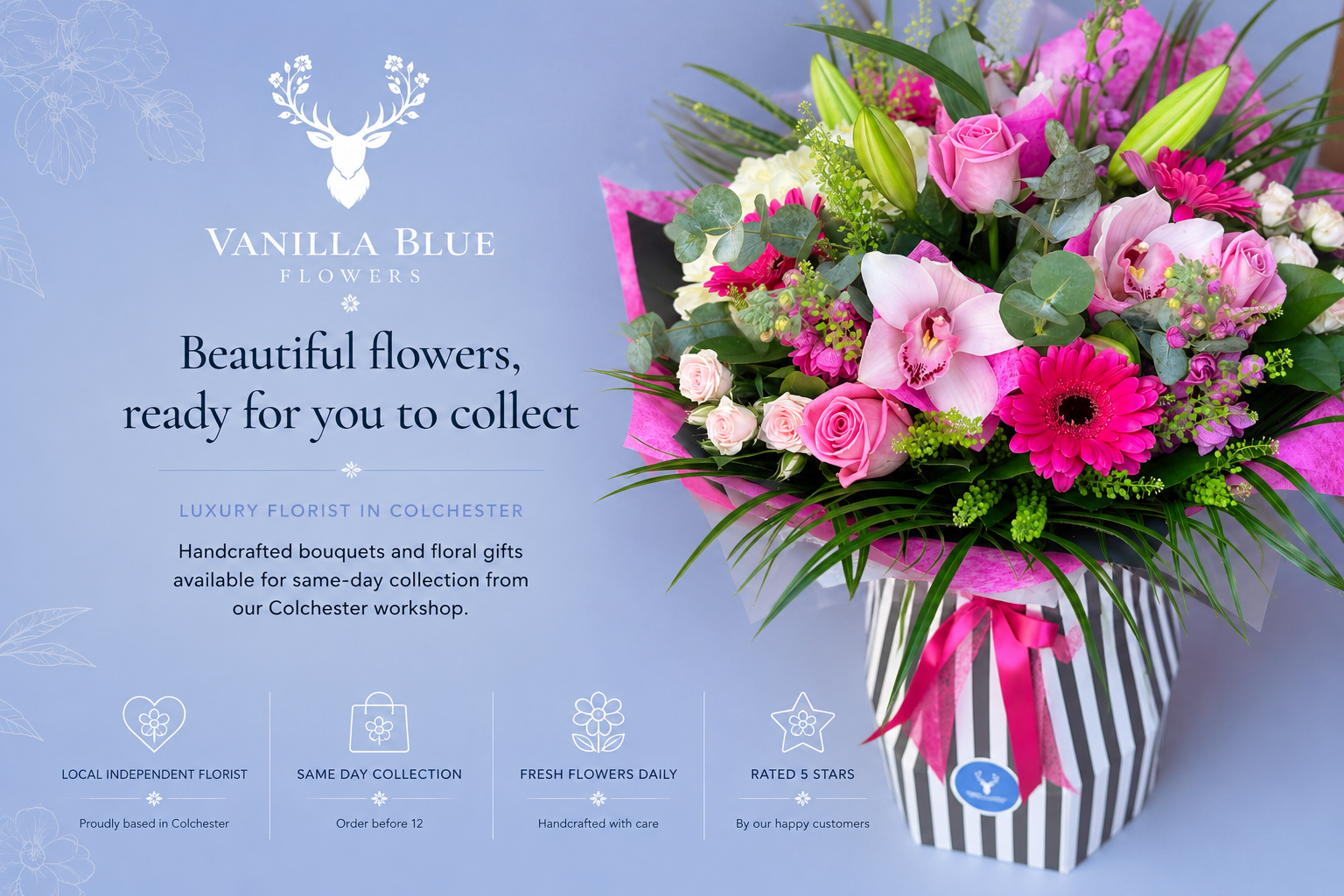 Vanilla Blue Flowers | Colchester | Flower Collection