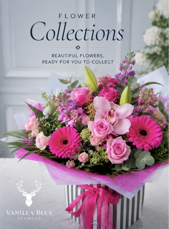 Vanilla Blue Flowers | Colchester | Home