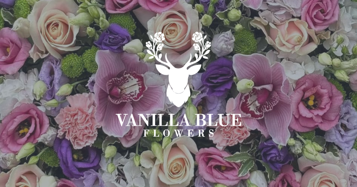 Vanilla Blue Flowers | Colchester | Home