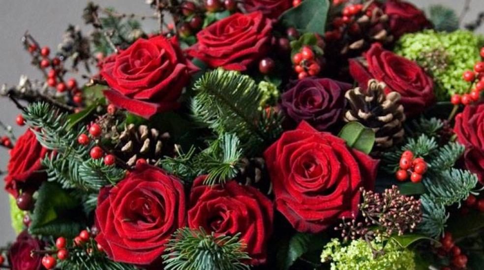 Vanilla Blue Flowers | Colchester | Home