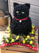 Personal Tributes | CAT Tribute