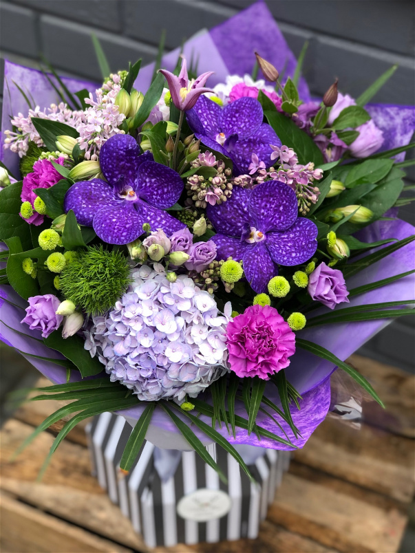 Gift Collection | Purple Passion
