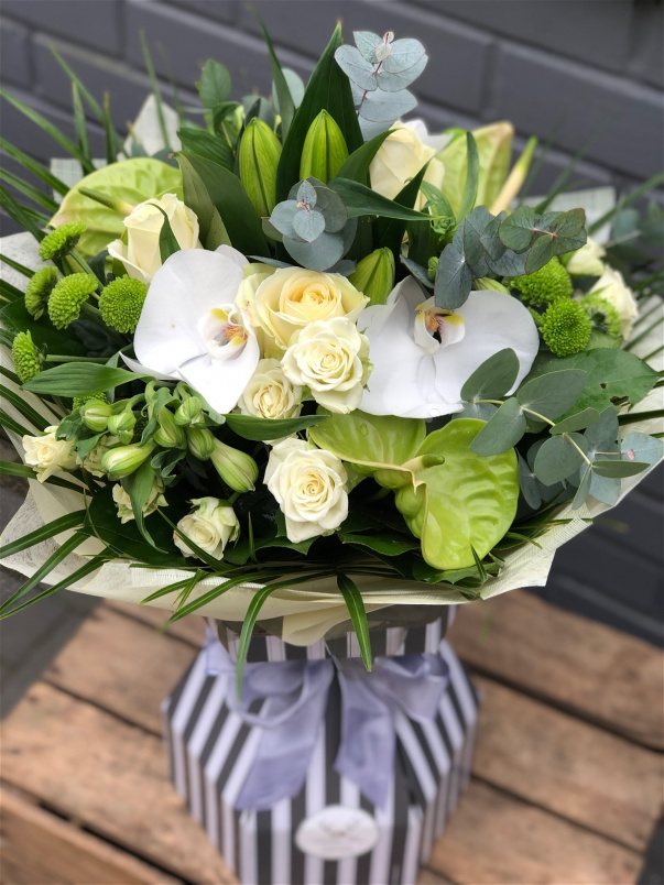 Gift Collection | Crisp Classic