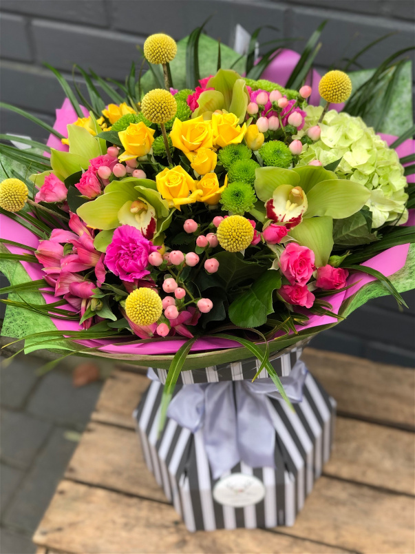 Gift Collection | Tutti Frutti