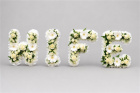 Funeral Flowers | Funeral Letters | WIFE Vintage Style Letters