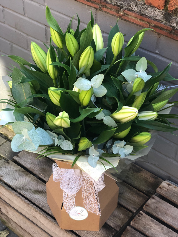 Gift Collection | Just Lilys…