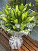 Florist Choice Handtieds | Flowers Collections | Just Lilys…
