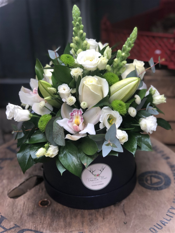 Hatbox Collection | Pearl Hatbox