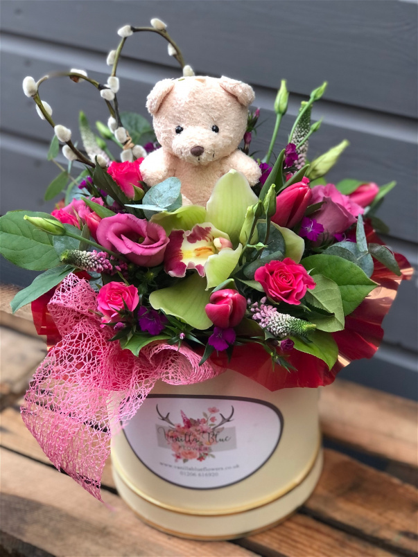 Valentines Collection | Bear Love