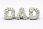 Funeral Letters | DAD Gypsophlia Letters