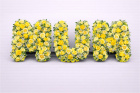 Funeral Flowers | Funeral Letters | Mum Rose Letters