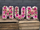 Funeral Letters | Mum Vintage Style Letters