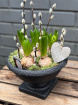 Plants | Spring Collection | Footed Hyacinth Bowl