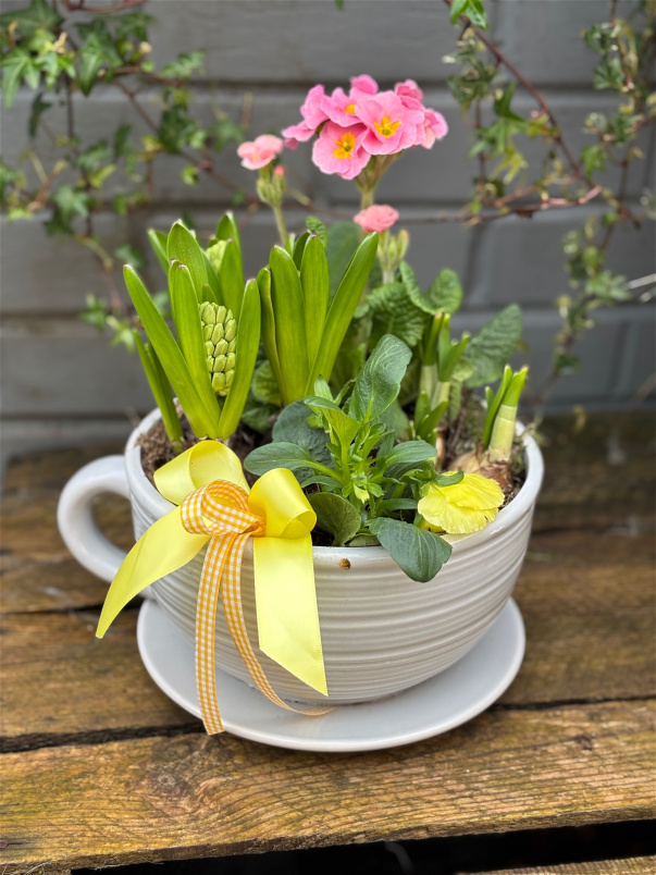 Gift Flowers | Plants | Cup of Love