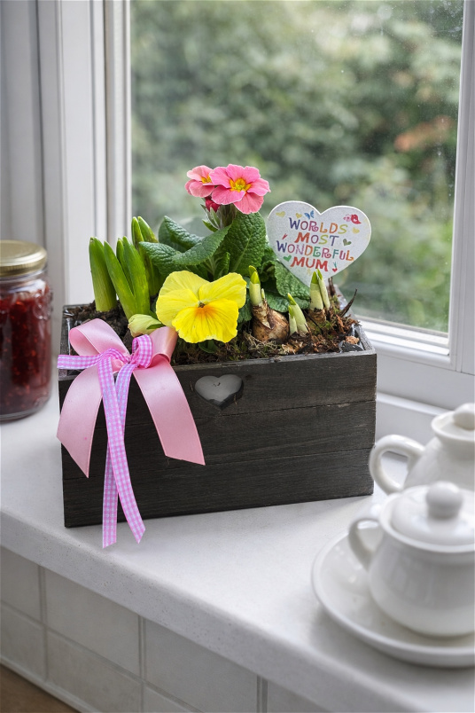 Mother’s Day | Spring Jam Planter