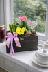 Mother’s Day | Spring Jam Planter