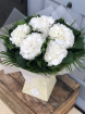 Gift Flowers | Love Collection | Hydrangea Love
