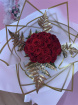 Roses | A Bed Of Roses