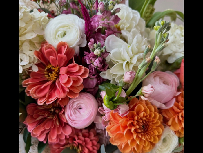 Mother's Day | Mother