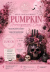 Workshops | Adult Pumpkin work shop