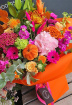 Autumn | Autumnal Brights