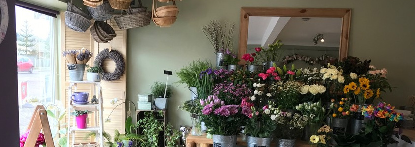 Violets Florist | Lowestoft | HOME