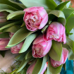 Valentines  | Romeo Tulip Bouquet