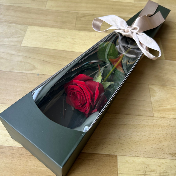 Valentine Flowers | Boxed Single Rose