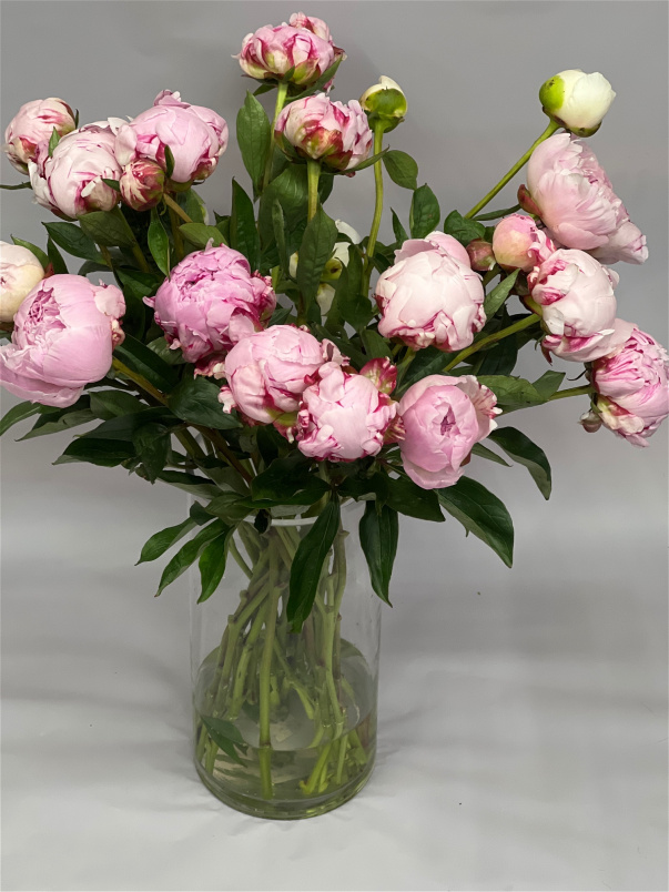 Bouquets | Valentine Flowers - Hand Tied Bouquet | Peony bouquet