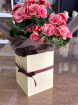 Gifts | Plants | Begonia (Indoor) 35cm tall P 12