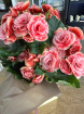Gifts | Plants | Begonia (Indoor) 35cm tall P 12