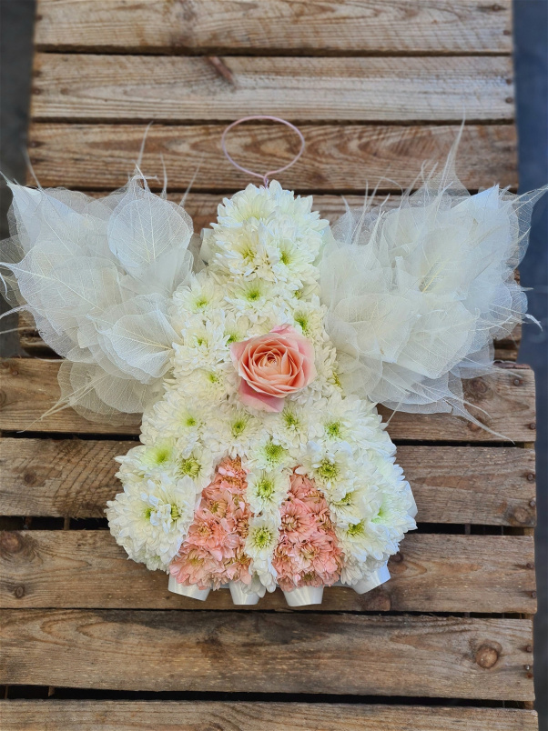 Sympathy | Mini Angel