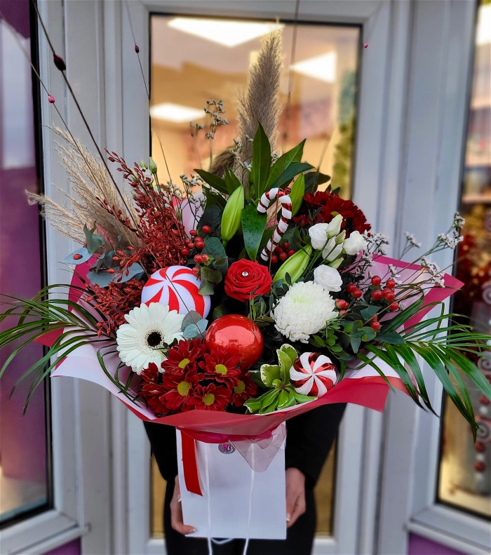 Christmas | Candy Cane