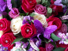 Funerals | Luxury Rose and Veronica Teardrop